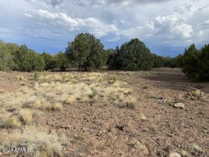 B67941D7-0297-4A34-878D-82D57D90BFC1_4_5