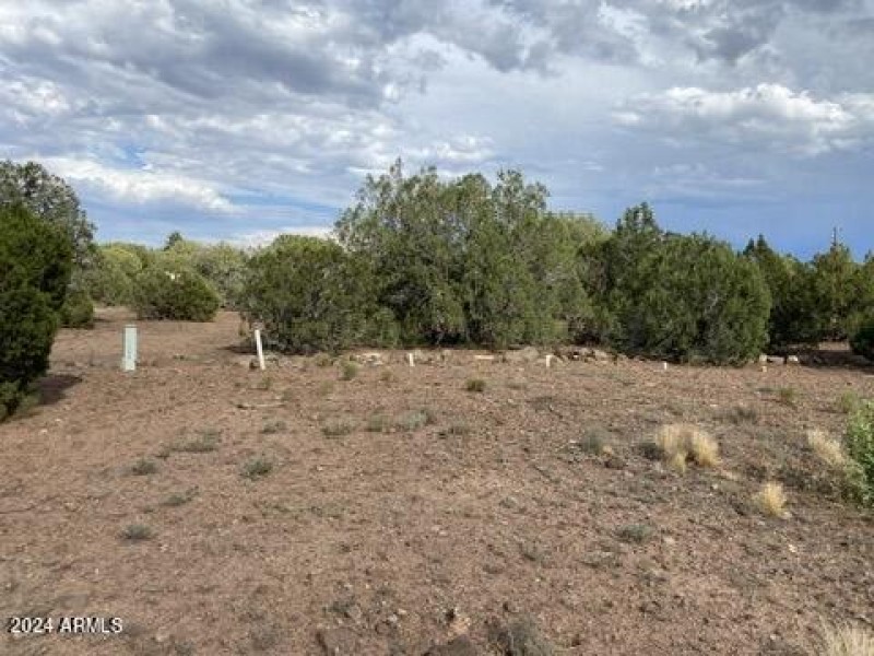 9880051E-E936-4F74-AFB9-C8F53C9C0ABB_4_5