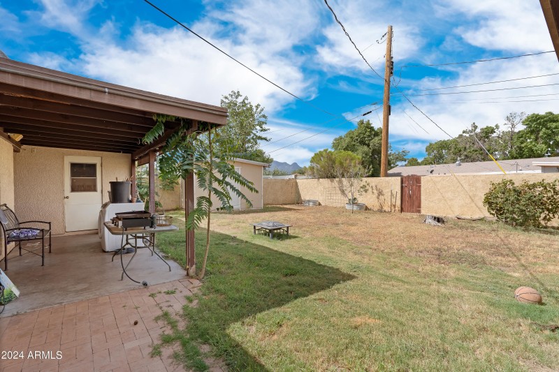 3 Backyard-2