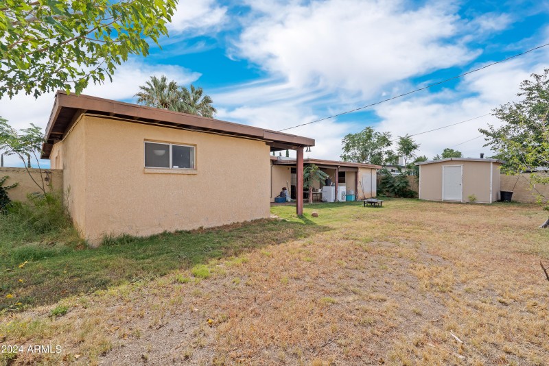 3 Backyard-3