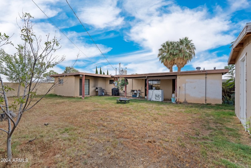 3 Backyard-4