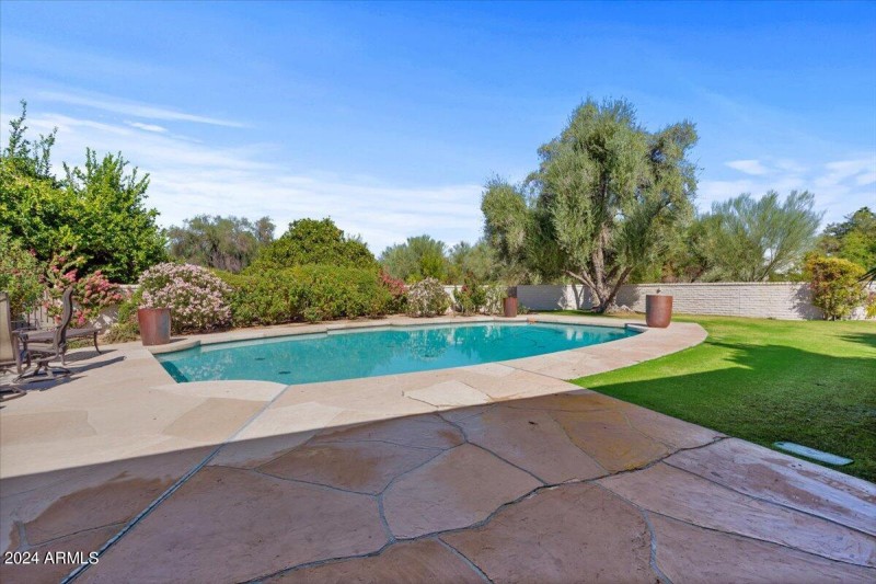 46-Back yard & pool