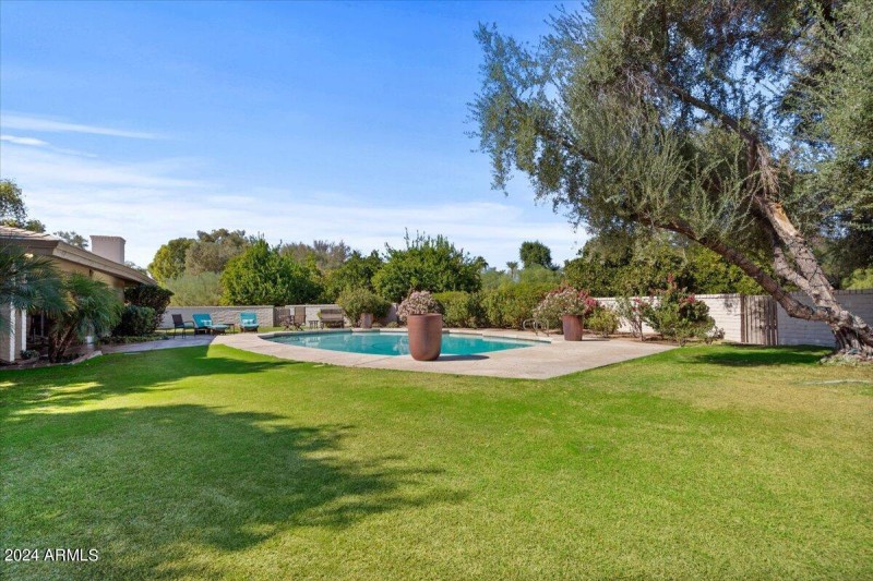 52-Pool & yard
