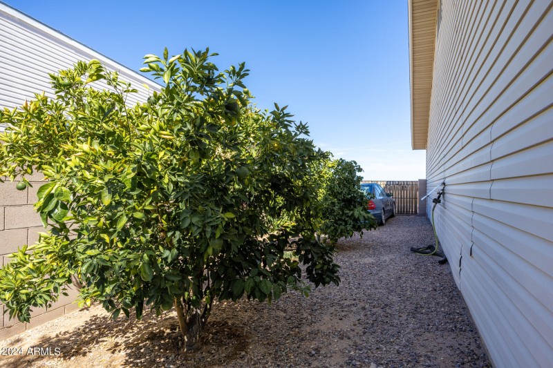 Side Yard West
