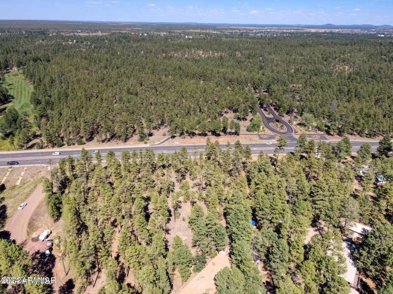 Tall pines, great highway access