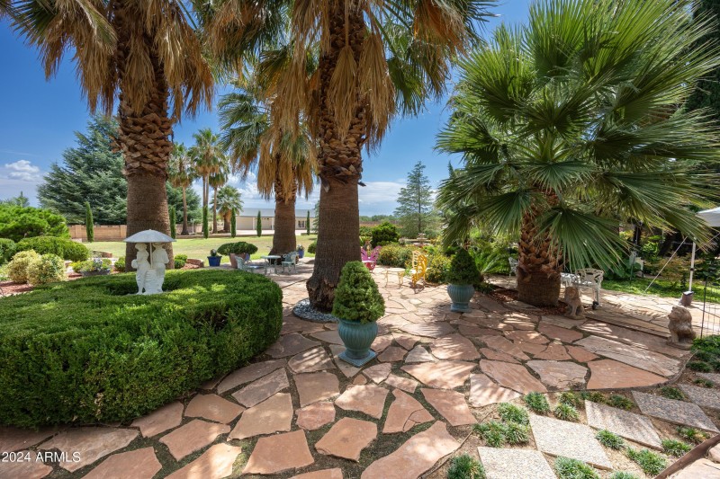 Backyard Gardens