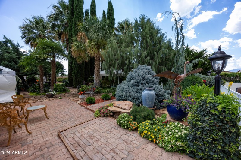 Backyard Gardens