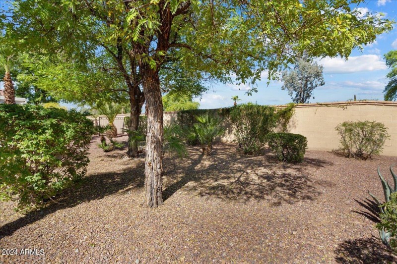 29-Backyard