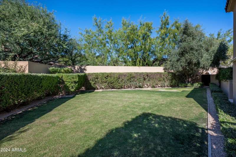 Backyard Greenspace