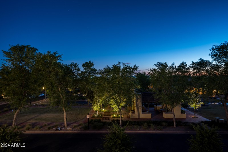 Evening Park View