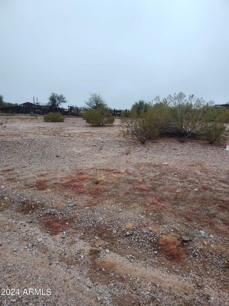 IMG_20221204_131638261