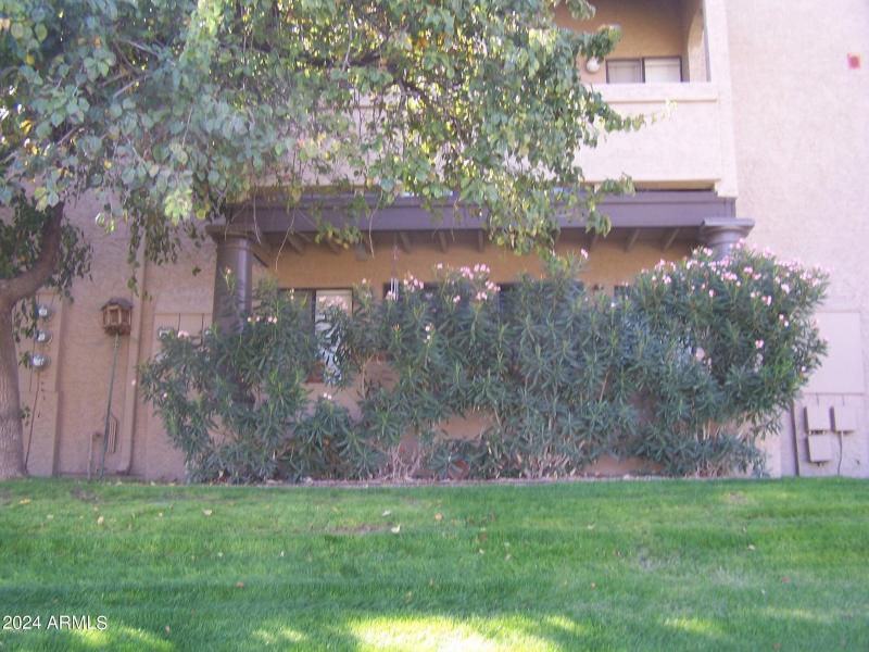 20190110215336496320000000-o