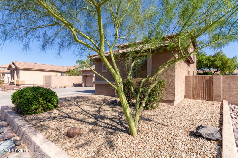 03 - Riordan Ranch 3702