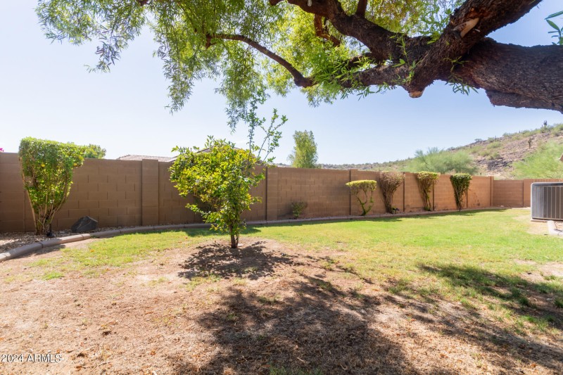 56 - Riordan Ranch 3702