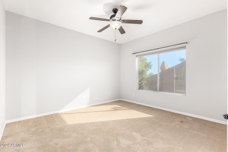 0056-56-Desert Flower