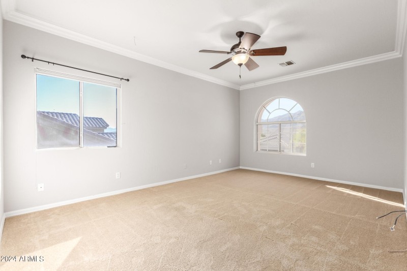 0065-65-Desert Flower