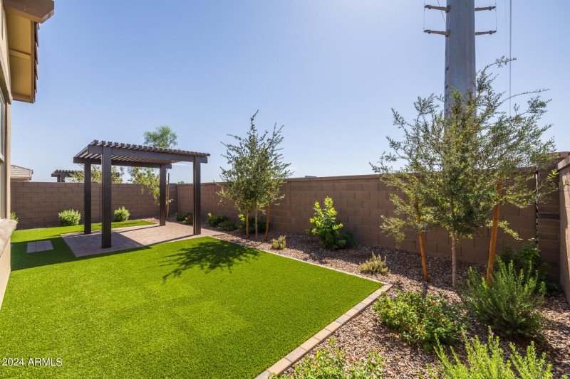 36)BACKYARD