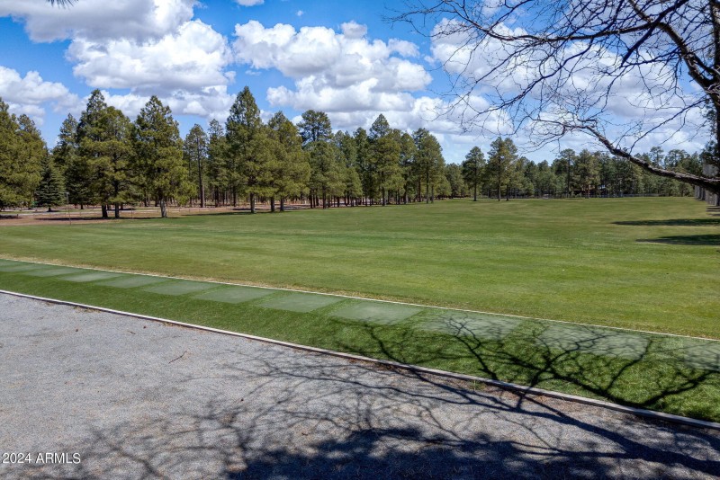 Pinetop Lakes Golf Course (3)
