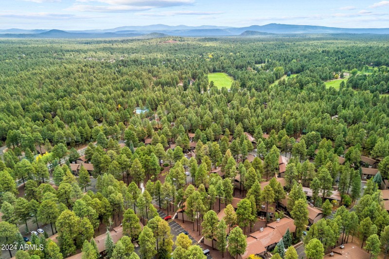 Aerial View (5)