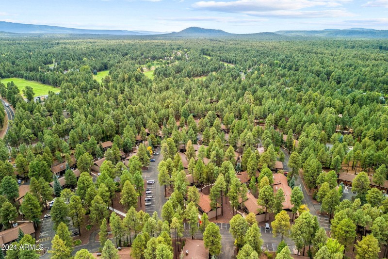 Aerial View (4)