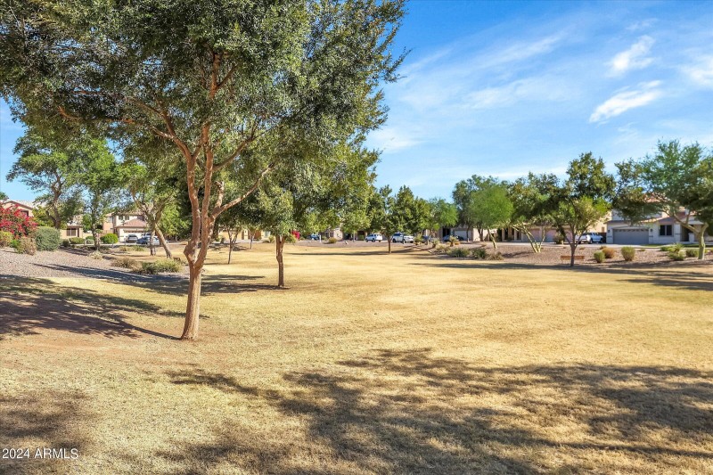 34-21527 N 78th Lane-50