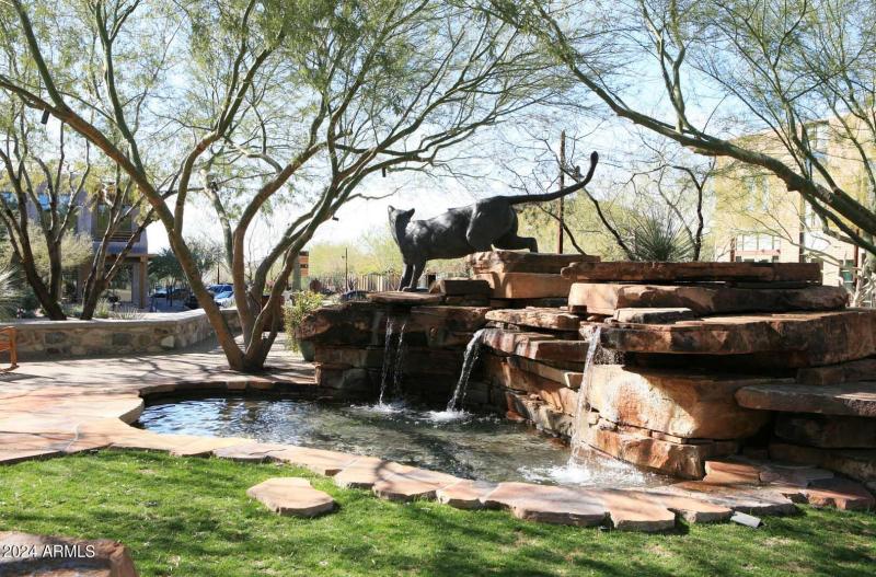 DC Ranch-Community Park