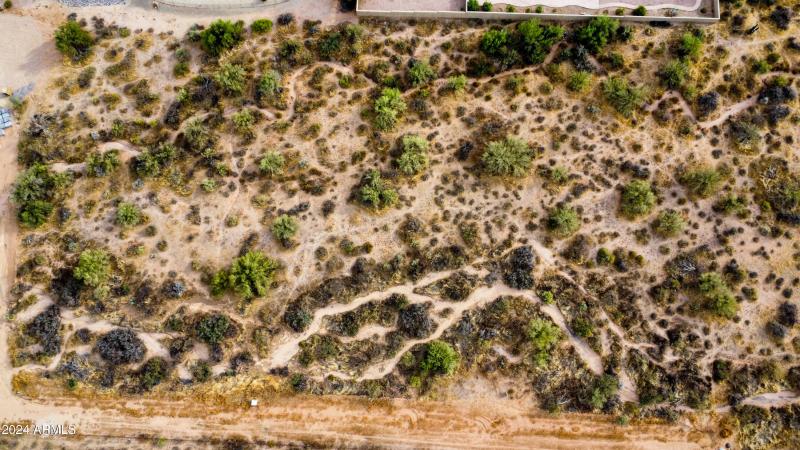 Photo Oct 09 2024, 3 55 52 PM