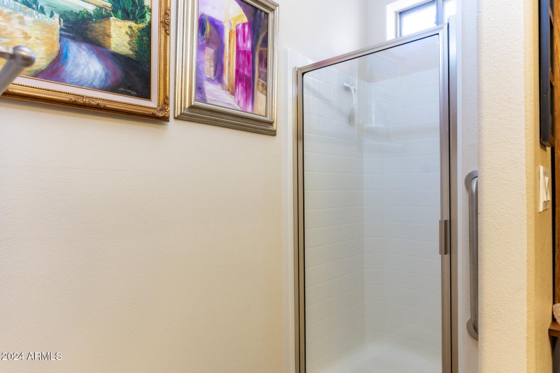 Primary Shower