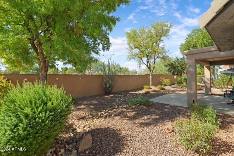 25-Back Yard