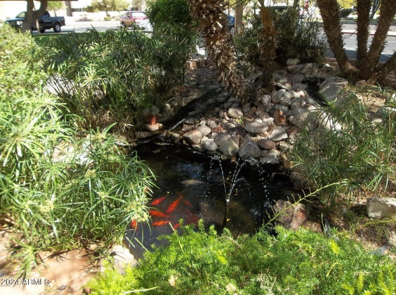 C207 FISH POND