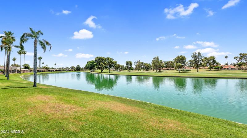 41-web-or-mls-P1054169