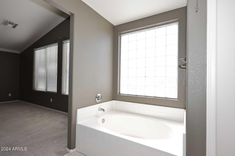 Primary Bath-Garden Tub