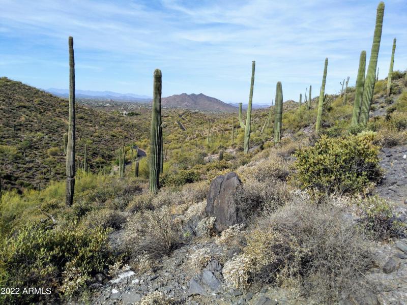 8fd52252-d8fe-41f9-9dfc-81c89fcce507