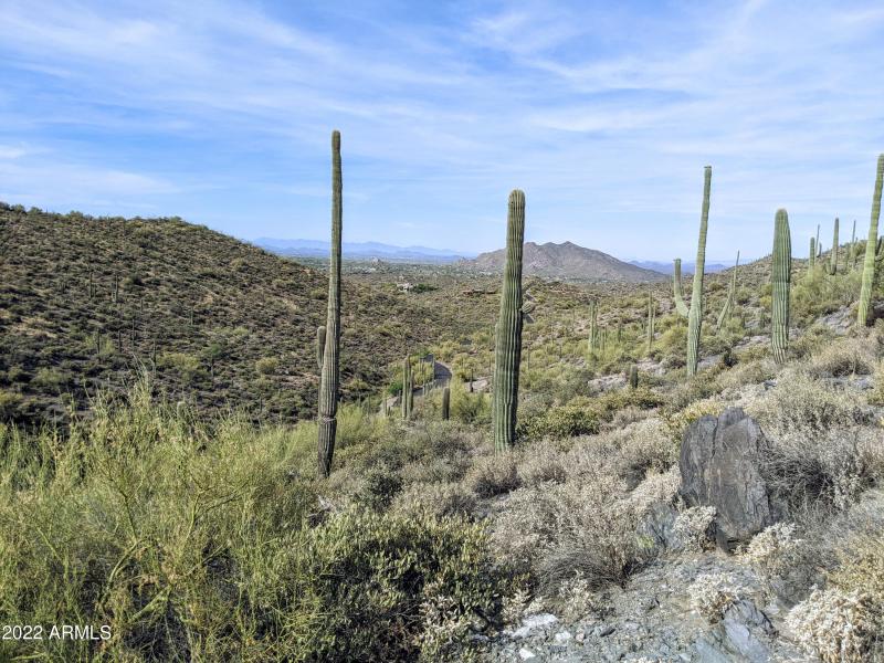 PXL_20220528_152035605