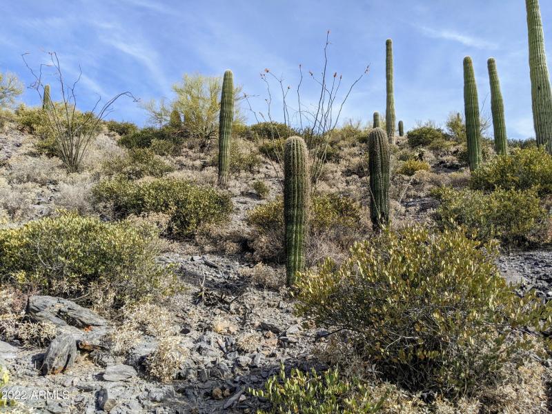 PXL_20220528_152042784