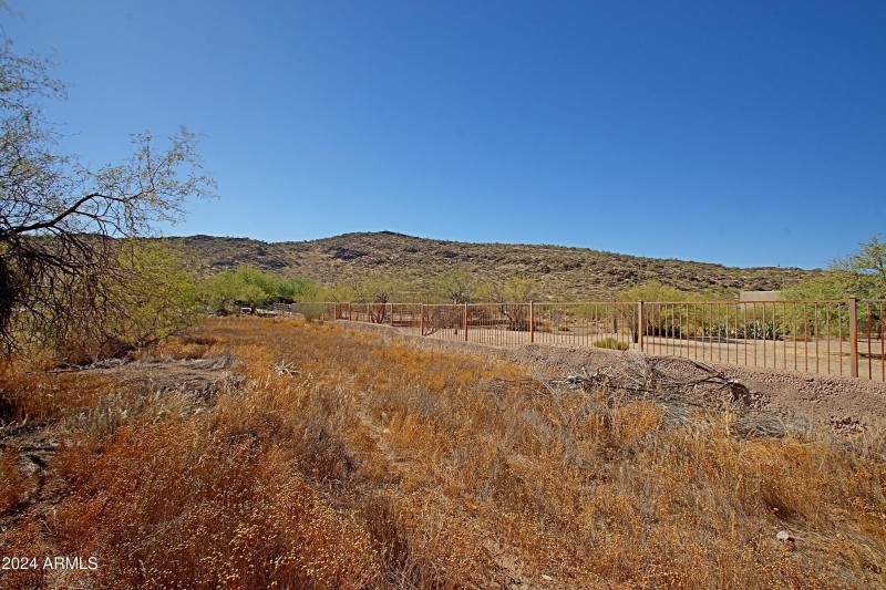 Backyard 10