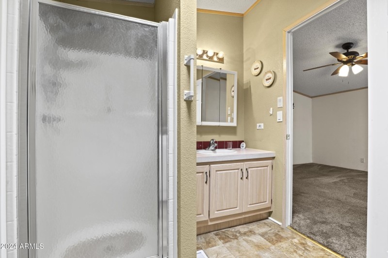 3933 E 260 # 273 Main Bath Vanity Shower