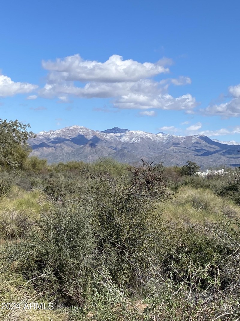 305f5216efdae0dd-photo