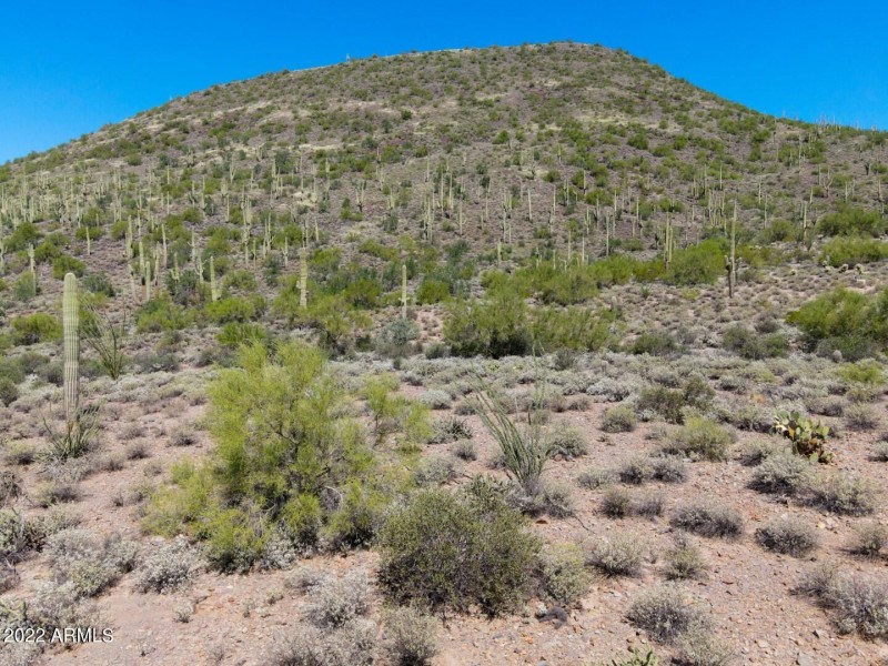 North View From Level Site