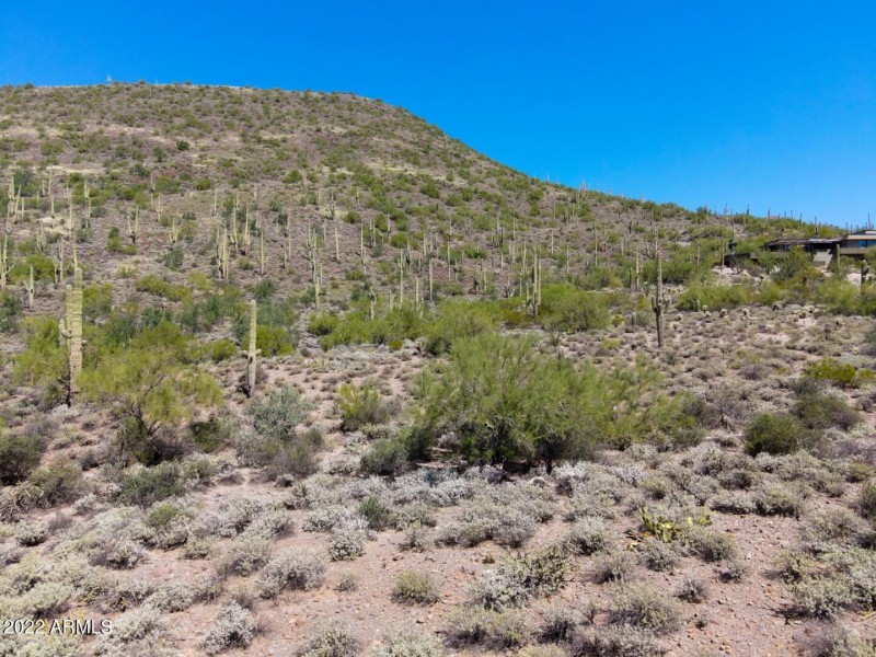 North View to Mountain