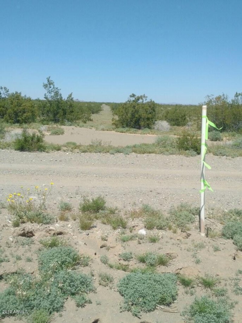 Lots Marked Freshly by Surveyor