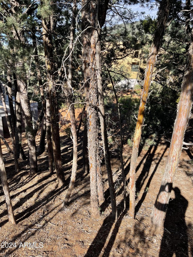 9 Lodgepole Circle 9