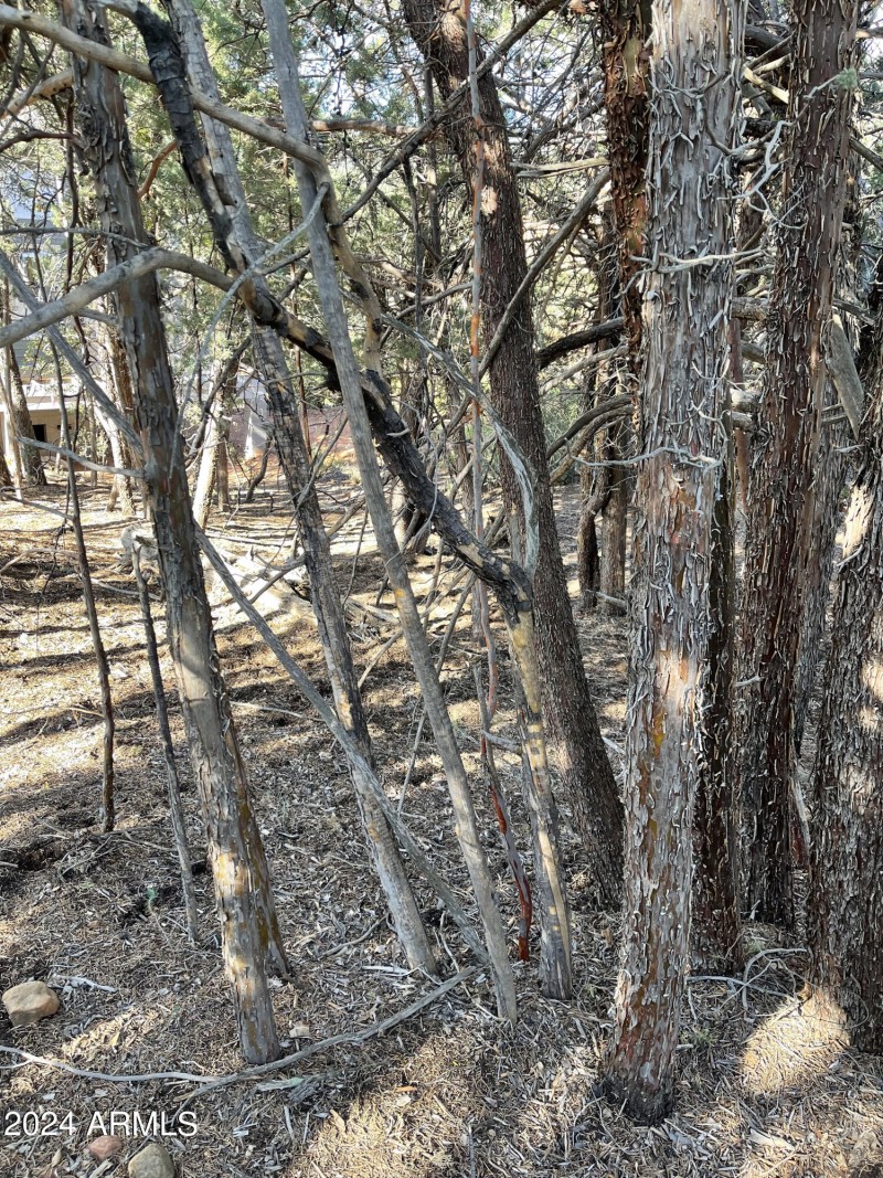 9 Lodgepole Circle 9