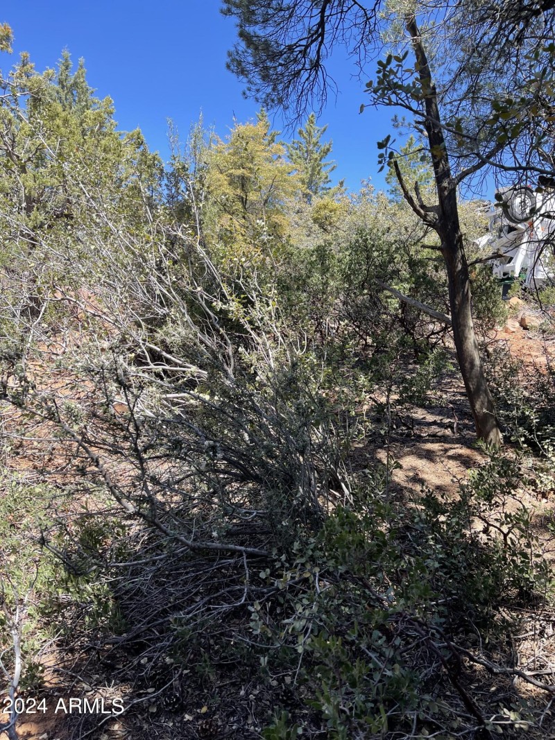 9 Lodgepole Circle 9