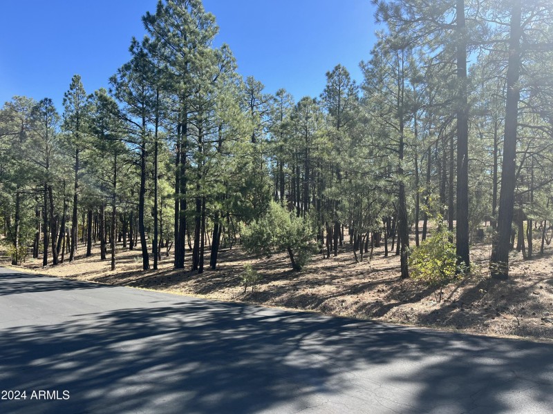 1450 S. Tia Cr. 85935