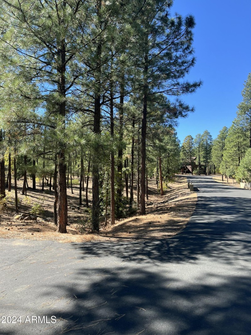 1450 S. Tia Cr. 85935