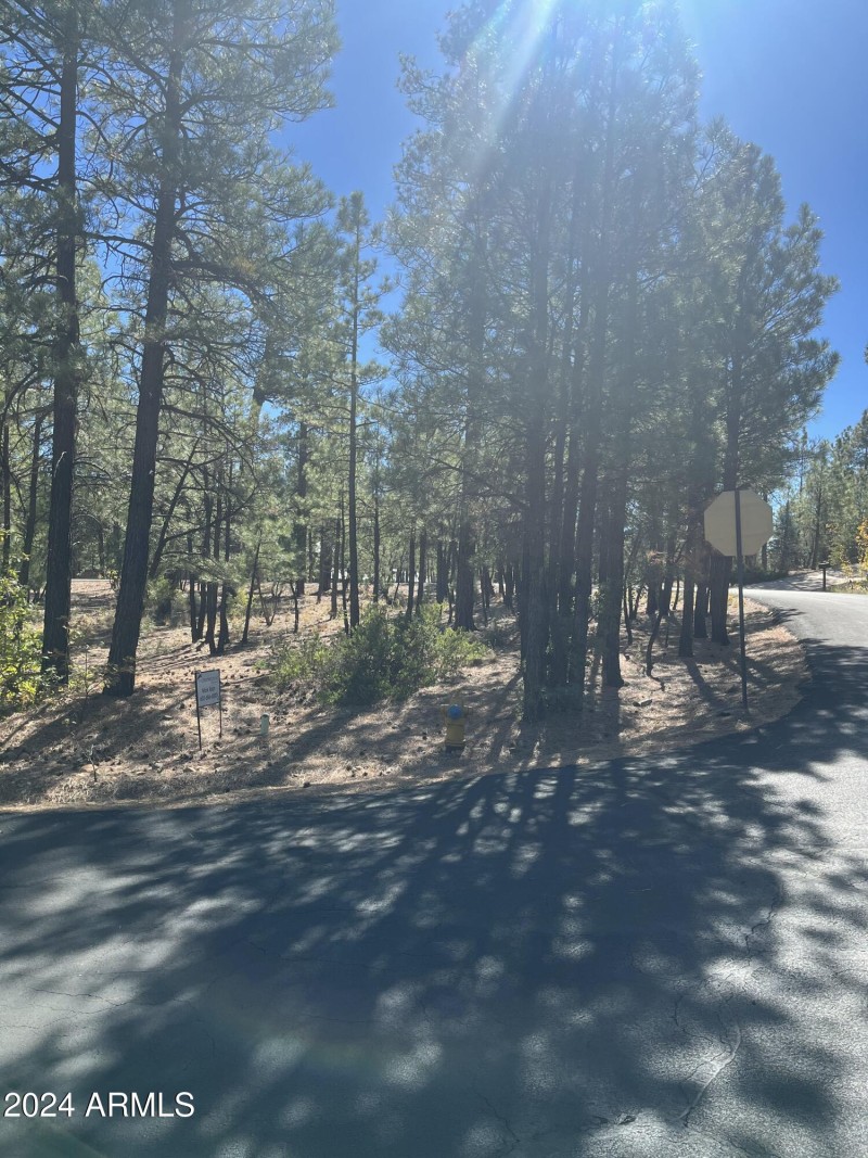 1450 S. Tia Cr. 85935