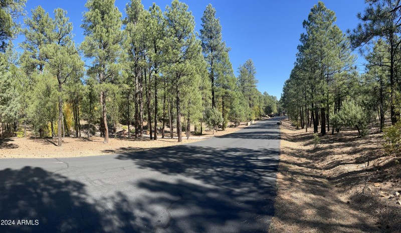 1450 S. Tia Cr. 85935