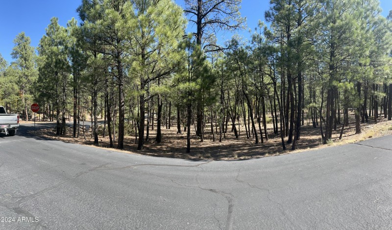 1450 S. Tia Cr. 85935