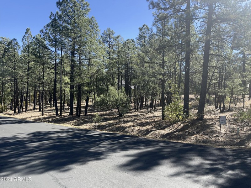 1450 S. Tia Cr. 85935